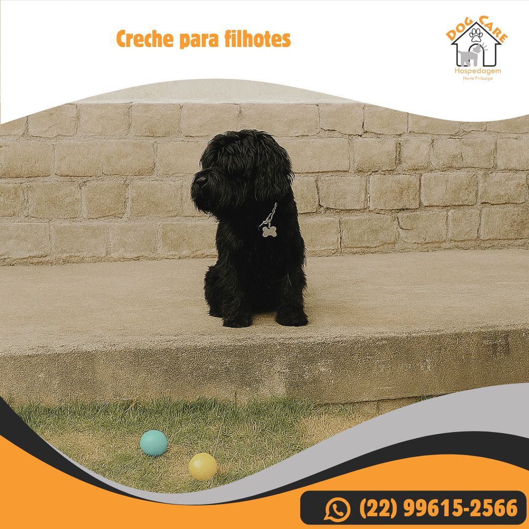 Post da Dog Care no Instagram 3