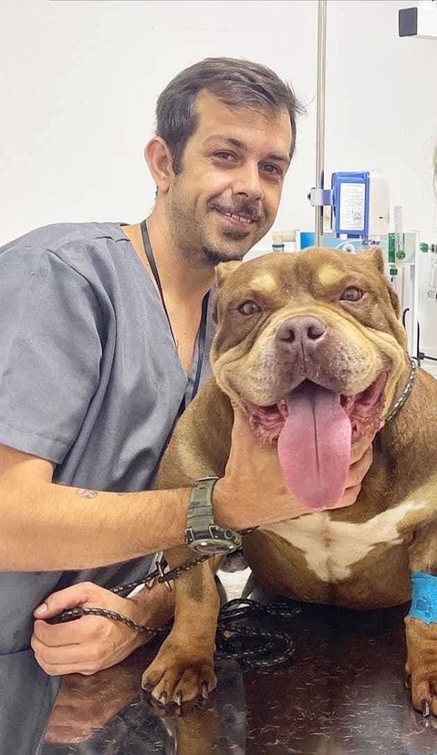 Enfermeiro veterinário da Dog Care com um cão no colo